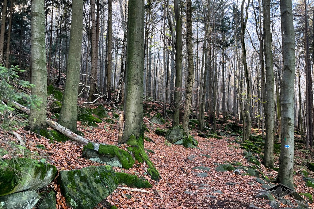 Krótki wypad z Wrocławia na&nbsp;Ślężę